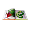 High Quality Printing Full Color Short Story Book for Kids Children Story